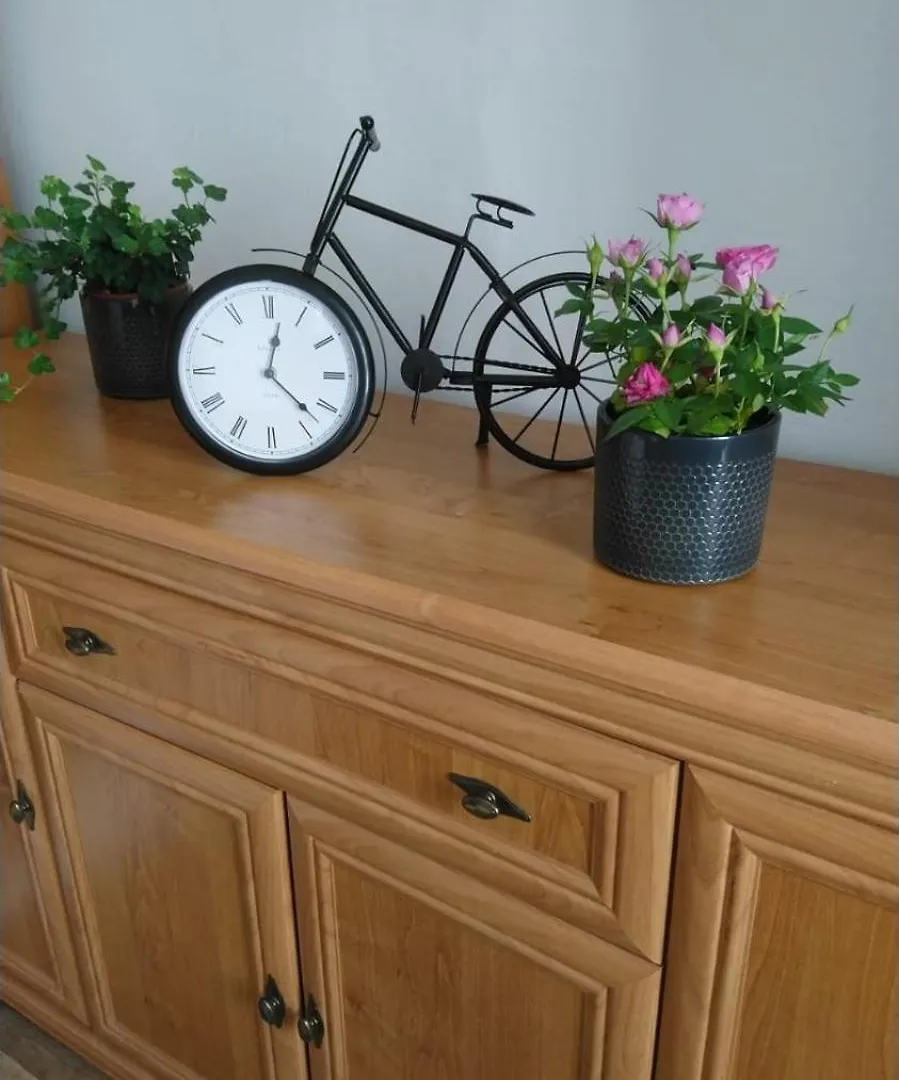 Apartment Apartman Tgmasaryka Karlovy Vary
